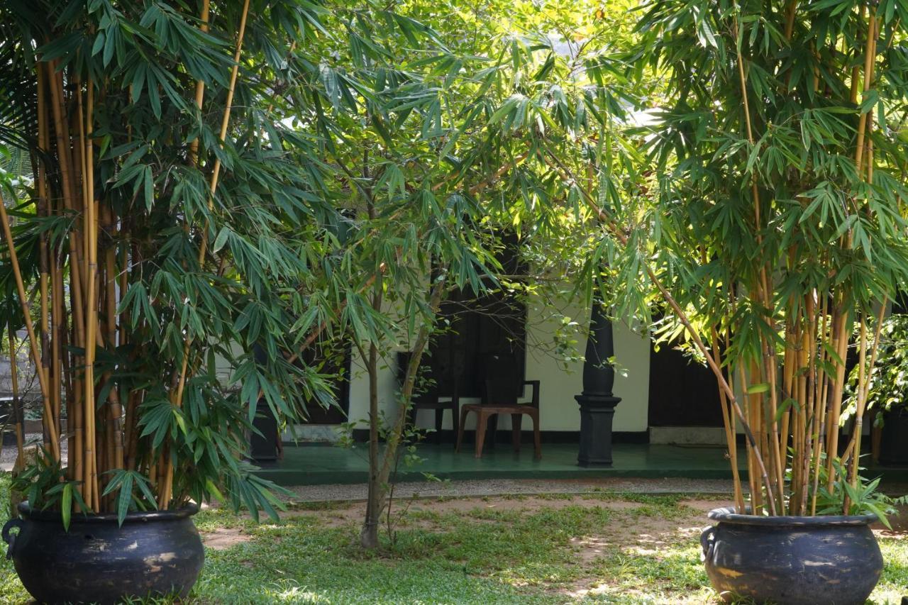 Sandra Guesthouse Dambulla Eksteriør bilde